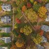 Behold, The Spectacular Fall Foliage On Governors Island From Above